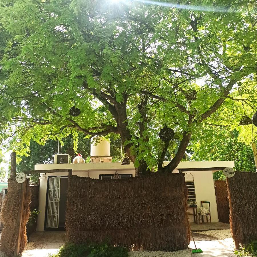 Casa Arte Bacalar Lägenhet Exteriör bild